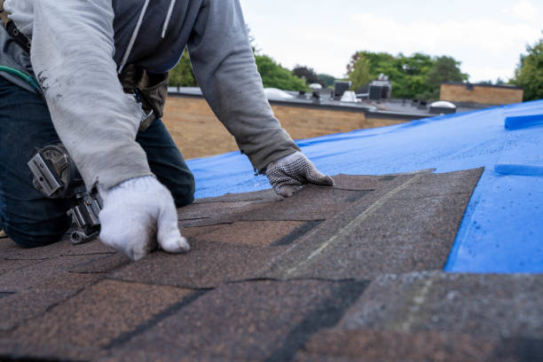 Best Rubber Roofing (EPDM, TPO)  in Hudsonville, MI